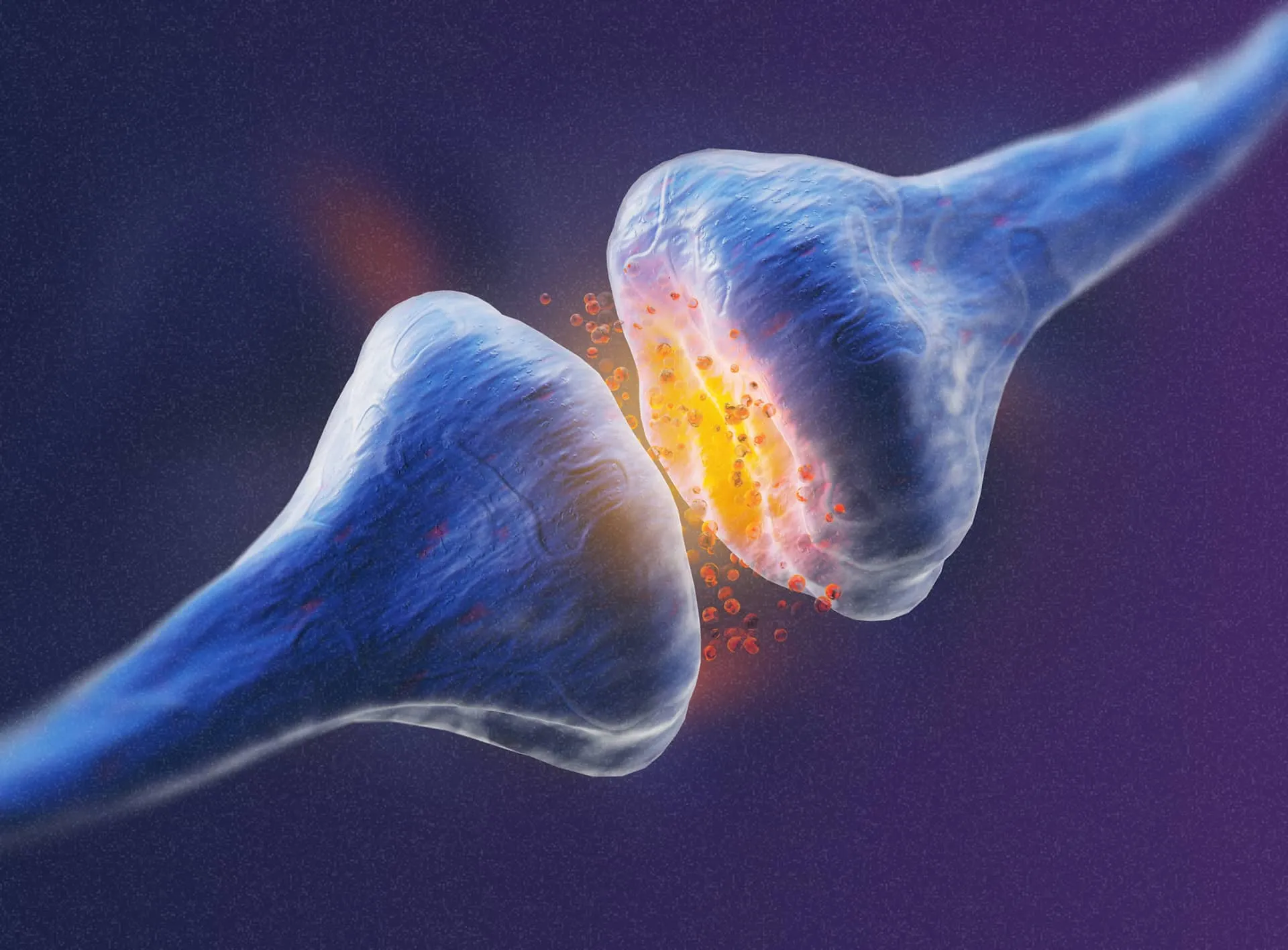 Neurology News Hub